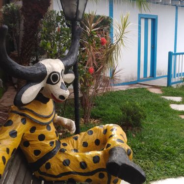 Ninguém sabe ao certo a origem dos Mascarados, mas é certo que, com suas…