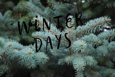 Winter Winter is magic You cant get too much winter in the winter *…