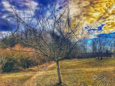 Beautiful sky & Schöner Himme & Natur. #germany #bayern #bavaria #regensburg #pictureoftheday #life #hospital&hellip;