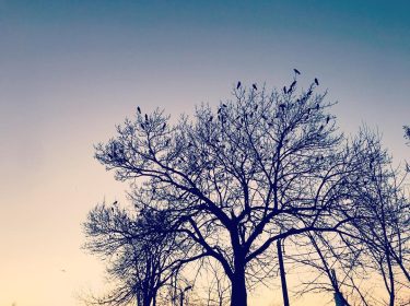 #bnesimppl #winter #sunset #bucharest