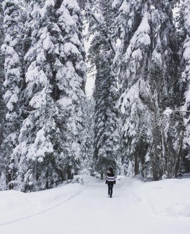 The beauty of this place is SuperB! ️️ #cantgetenoughofsnow #cantgetoverthisbeauty #ilovecanada #canadianrockies #winterincanada #cantgetenoughtravel…