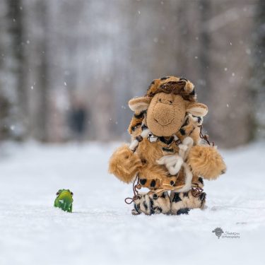 Winterwalk Part 2: Finally you can see my front and be impressed from my…