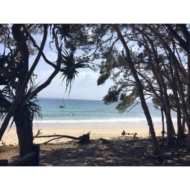 Vermiss das schöne Wetter #noosa #nationalpark #beautiful #hot #palmtrees #ocean #australia #travel #travelgram #wanderlust…