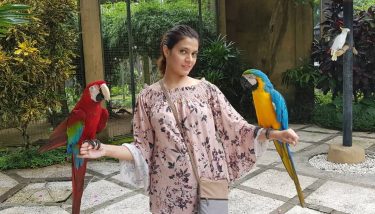 The amazing colours and beauty of these beautiful birds! PS – The red one…