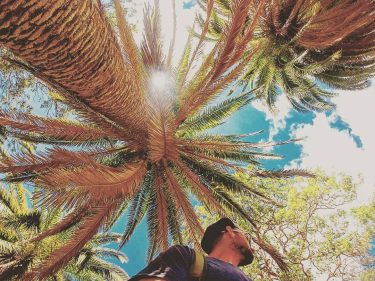 In search of Winter Solistice, Australia! . . . . . #Australiagram #goprophotography #ilovesyd…
