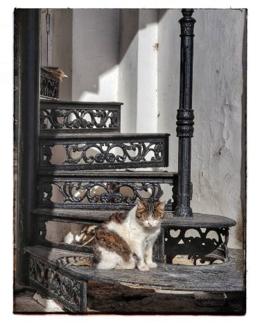 ⠀ ⠀⠀ ⠀⠀ ⠀⠀ ⠀ ⠀ ⠀ ⠀⠀ ⠀ ⠀ ⠀ ⠀ ⠀⠀ ⠀&hellip;