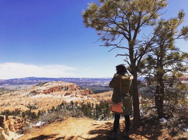 Contemplating nature ???????? #brycecanyon #brycecanyonnationalpark #usa #nature #wildlife #wildlifephotography #borntobewild #sky #colors #travel #trip…