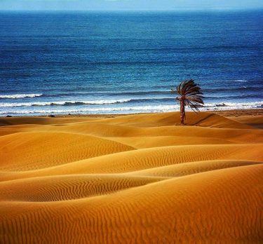Iran-Sistano Baluchestan,Chabahar,Makran,Darak of Zar Abad First and alone place in the world from Iran…