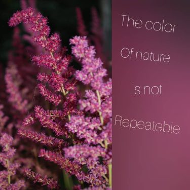 Nature colors are not ※ ※ ※ #love #springtime #spring #colorspring #colornature #flowers #iloveyou…