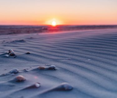 Collecting Sea shells, walking in the big sand dunes and enjoying the stunning sunsets.…