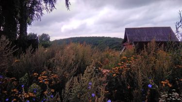 #꽃 #자연 #봄 #봄봄봄 #봄봄 #색상 #도 #may #flowers #travel #nature #colorflowers #color #nikon&hellip;