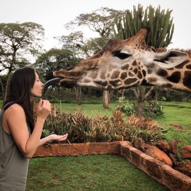 Saying our goodbyes to the Giraffe Manor with a kiss @thesafaricollection