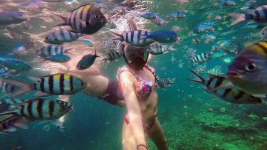 #backpacker #mochileros #ambulantesmundi #instatravelling #travelingram #instapassport #backpackerslife #mochilerostyle #travelblog #travel #backpacking #trotamundos #penang #instaviajeros…