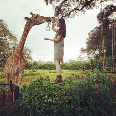 Reminiscing ……….. @thesafaricollection