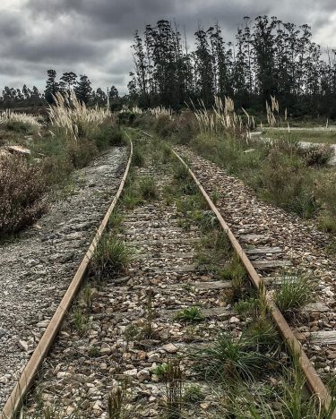 The old rails of Uruguay!! #rails #rail #old #uruguay #grass #cloud #clouds #cloudy #cloudyday…