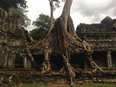 Angkor Wat, Camboya. Templo de Preah Khan. Puede ser más impresionante?? @condefj #dreamsandgoals #bestplacesonplanetearth&hellip;