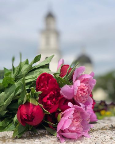 Peonies #peonies #inlove #chisinau #background #cathedral #towncenter #summer #love #nofilter #photoart #photography #photooftheday #photoshoot&hellip;