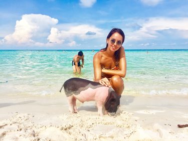 Con Lolo #vietnam #phuquoc #travel #iamtb #travelgram #bnesimppl