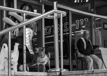 #tea_journals #bnesimppl #dogs #dog #dogsofinstagram #pets #bnw_dogs #streetworld #streetdog #bnw_rose #fa_bnw #ig_dog #lif_is_street #vivianmarie…