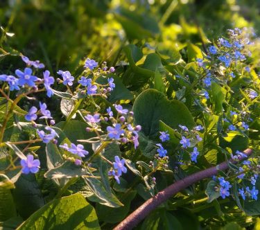 #여름 #꽃 #여행 #페인트꽃 #자연 #nikon ~ ~ ~ #instamoment #instagood #nikonphotography #nikontravel #instadaily&hellip;