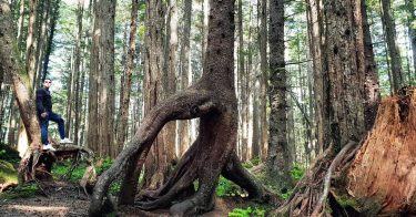 Understanding the nature, and it will refresh your soul . . . . .…