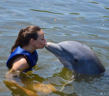Folks, meet my new boyfriend // Kicsimmel pancsolgatásokba’ _____________________________________________ #treasuredmoments #dolphinreef #cienfuegos #cuba #cubatravels&hellip;