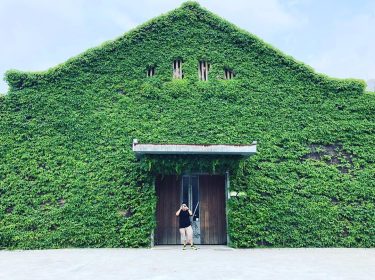 Seeing green in Taipei ???????? #Taipei #Taiwan #creativepark