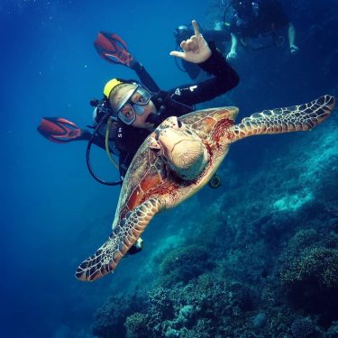 What an amazing experience #worldturtleday #diving #greatbarrierreef #beautifulsea #nature #flynnreef #deapbluesea #animal #nature #thankful…
