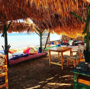 #tarabin ️ #sinai ️️ . . . . . #bnesimppl #southsinay #ilovesinai #sinaitrip #sinaivibes…