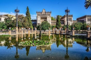 ️Día Mundial del Medio Ambiente. Museo Arqueológico [Parque de María Luisa] • • Sevilla…
