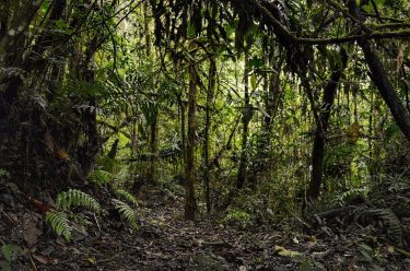 ¡Día del Ambiente! Vivimos en un mundo tan grande que cada rincón es único.…