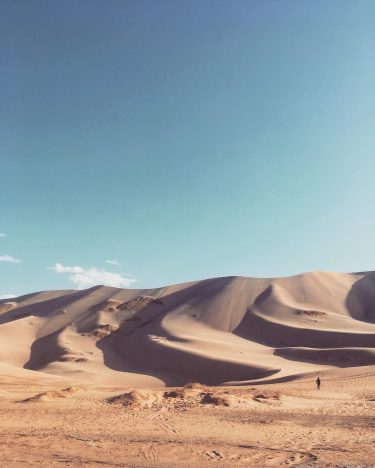 Can you spot Fran? Gobi desert, Mongolia. #khongorynels #gobi #mongolia #gobidesert #desert #sanddunes #worldtravel…
