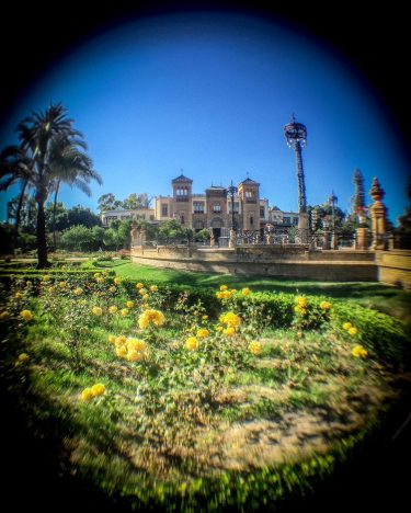 Vivir aquí, suerte la mía. Parque de María Luisa. • • 〰️〰️〰️〰️〰️¡FELIZ FINDE!〰️〰️〰️〰️〰️ •&hellip;