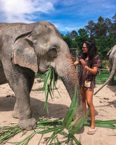 My new friend and I send sunny greetings from Thailand ️???????? ⠀⠀⠀⠀⠀⠀⠀⠀⠀ ⠀⠀⠀⠀⠀⠀⠀⠀⠀ ⠀⠀⠀⠀⠀⠀⠀⠀⠀&hellip;