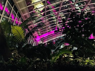 Sky Garden ???? • One of the best restaurant in London and, above all,…