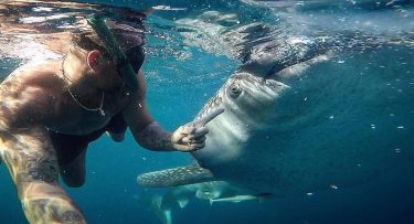 ????????Philippines 2017???????? SNORKELING WHITH MY BRO WHALESHARK #philippines #philippines???????? #travel #travelblogger #travelphotography #traveller #oslob&hellip;