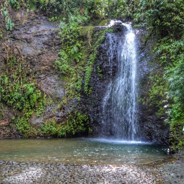 Boooo!!! Rained all day here in Indy. One final throwback to a sunnier day.&hellip;