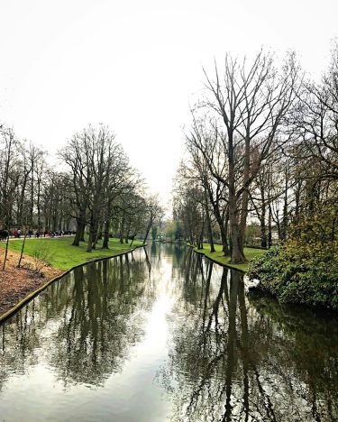 The canals of Bruges originate from the small river Reie. Navigating through them and…