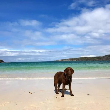 Time for a picture perfect beach with my favourite girl in the universe #dogsareagirlsbestfriend&hellip;