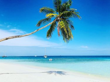 Do you like palm trees? #meeruisland #meeru #maldivesresorts #instatraveller #instatravel #traveladdict #travelgirl #throughtheworld #travelwithme…