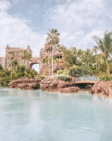Our posts will be visiting the tropics this week first up from our most&hellip;