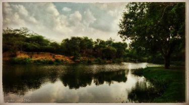 जंगल जंगल बात चली है पता चला है… लालालाला! #photooftheday #portrait #forest #lake #environment…