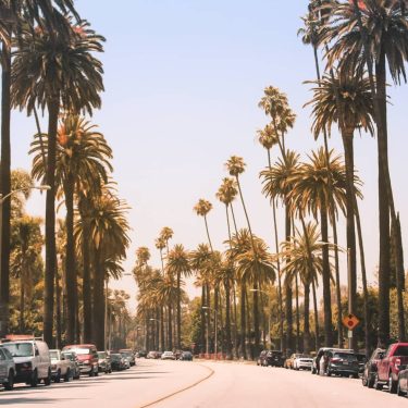 C A L I . . . #california #beverlyhills #palmtrees #drive #summer #losangeles #cali…
