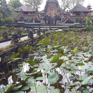 Pura Taman Saraswati, Ubud, Bali #mylasttrip #mylastravel #trip #travelblogger #travelife #traveling #travelphotography #travelblog #travelers…