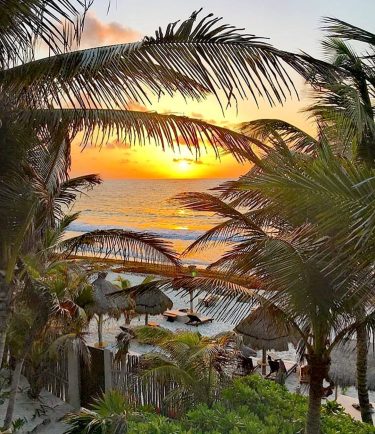 Love this view @nesttulum Tulum have a sweet evening #tulum #tulum #tulumlifestyle #tulummexico #tulummexico&hellip;