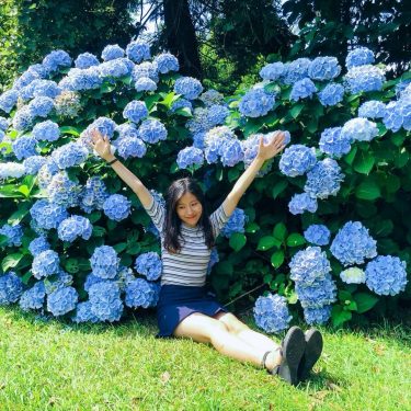 2018. #hydrangea #hydrangeas #flower #lifeinkorea #dailylife #ilovetravel #trip #travel #traveler #travellover #travelstagram #travels #travelgirl…