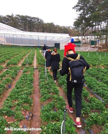 Strawberry frame . I like travel, it makes my life become great . Follow…
