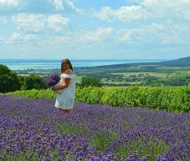 Oh, I just want you to come with me . @_fruzsinszkatica_ #balaton #summer #summertime…