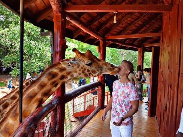 What do you know about this cute animals ? ???? Have you ever seen…