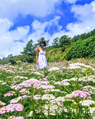 Bloom as if you want to make the whole world beautiful. #mingmingtraveljournal #lakwatserangpusa #livelife…